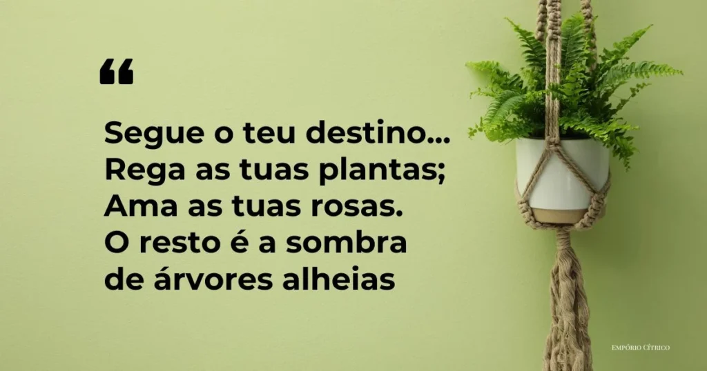 reflexao sobre plantas